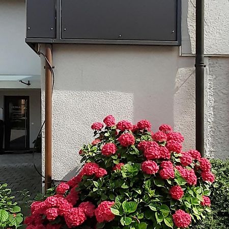 Ferienwohnung Im Fischerhaeusle ノネンホルン エクステリア 写真