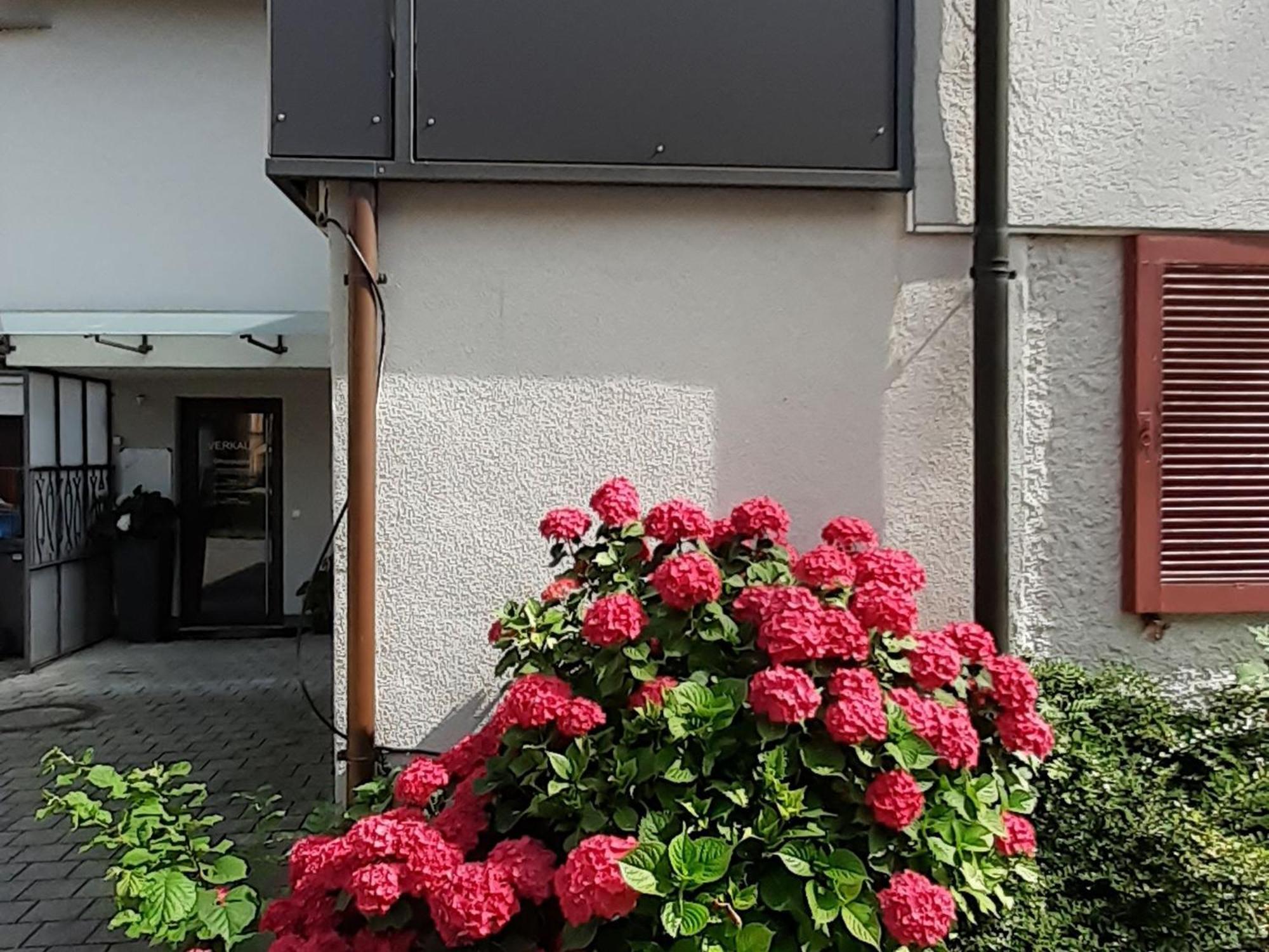 Ferienwohnung Im Fischerhaeusle ノネンホルン エクステリア 写真